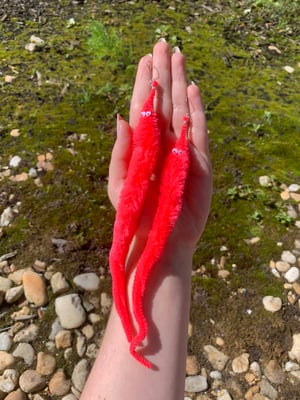 pink worm earrings