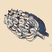 Image 2 of Magnolia Seed Head