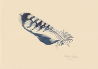 Image 1 of Feather