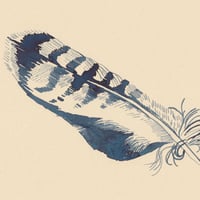 Image 2 of Feather