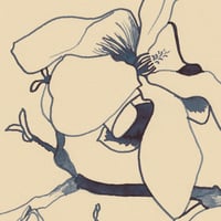 Image 2 of Magnolia Bloom