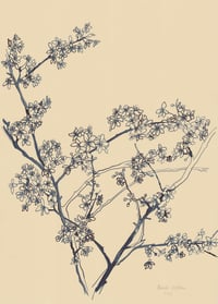 Image 1 of Branches of Blossom