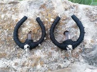 DarkBirdSkull Earrings