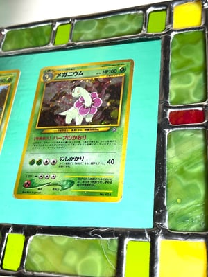 Plant type starter evolution set Neo Genisis