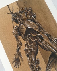 Image 1 of Fine Art Print "ANATOMY"