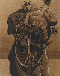 Image 3 of Fine Art Print "ANATOMY"