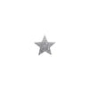 Silver Star Pendant