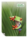 P0001 - tree frog rainforest