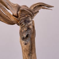 Image 2 of The Giver (el que da)