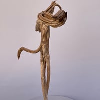 Image 5 of The Giver (el que da)