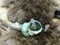 Image of creature fear (hermit crab shells)