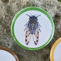 Image 3 of Collections Collection: The Indiana Collection I