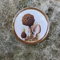 Image 4 of Collections Collection: The Indiana Collection I