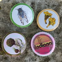 Image 1 of Collections Collection: The Indiana Collection I