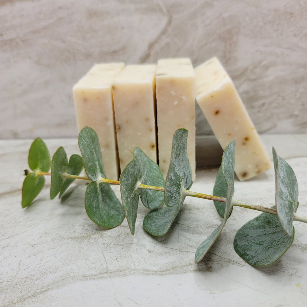 Image of Eucalyptus Greek Yogurt Soap