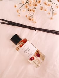 Reed Diffuser