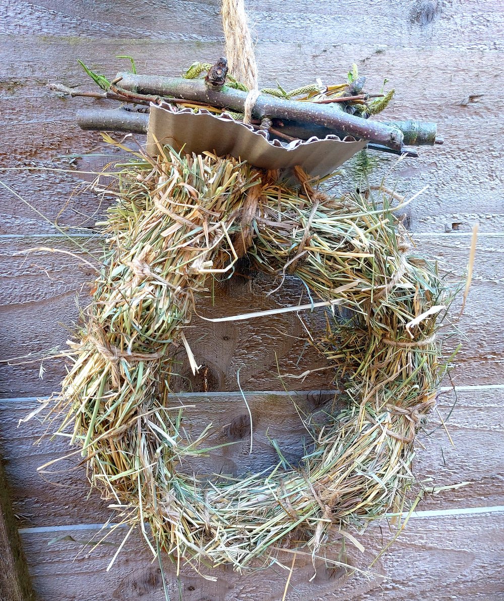 Image of Meadow hay ring with branch bunch