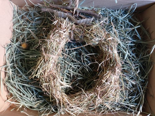 Image of Meadow hay ring with branch bunch