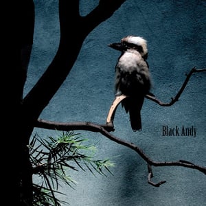 Image of Black Andy - Black Andy (CD)