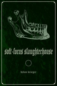 Soft-Focus Slaughterhouse (11:11 Press, 2021) 