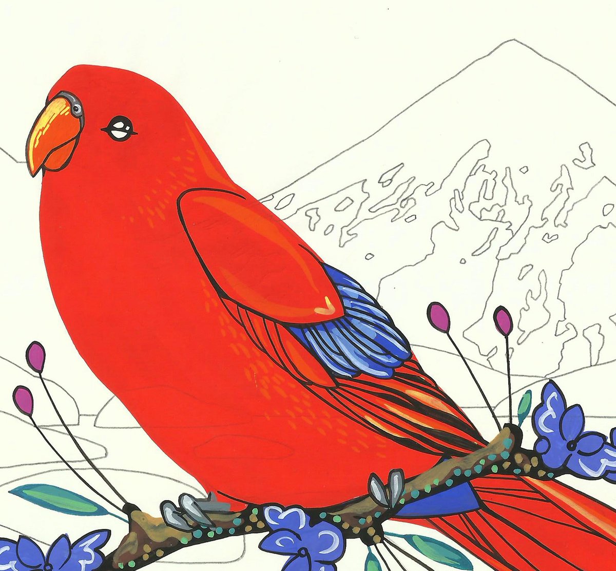Image of Red Lory and Olympia