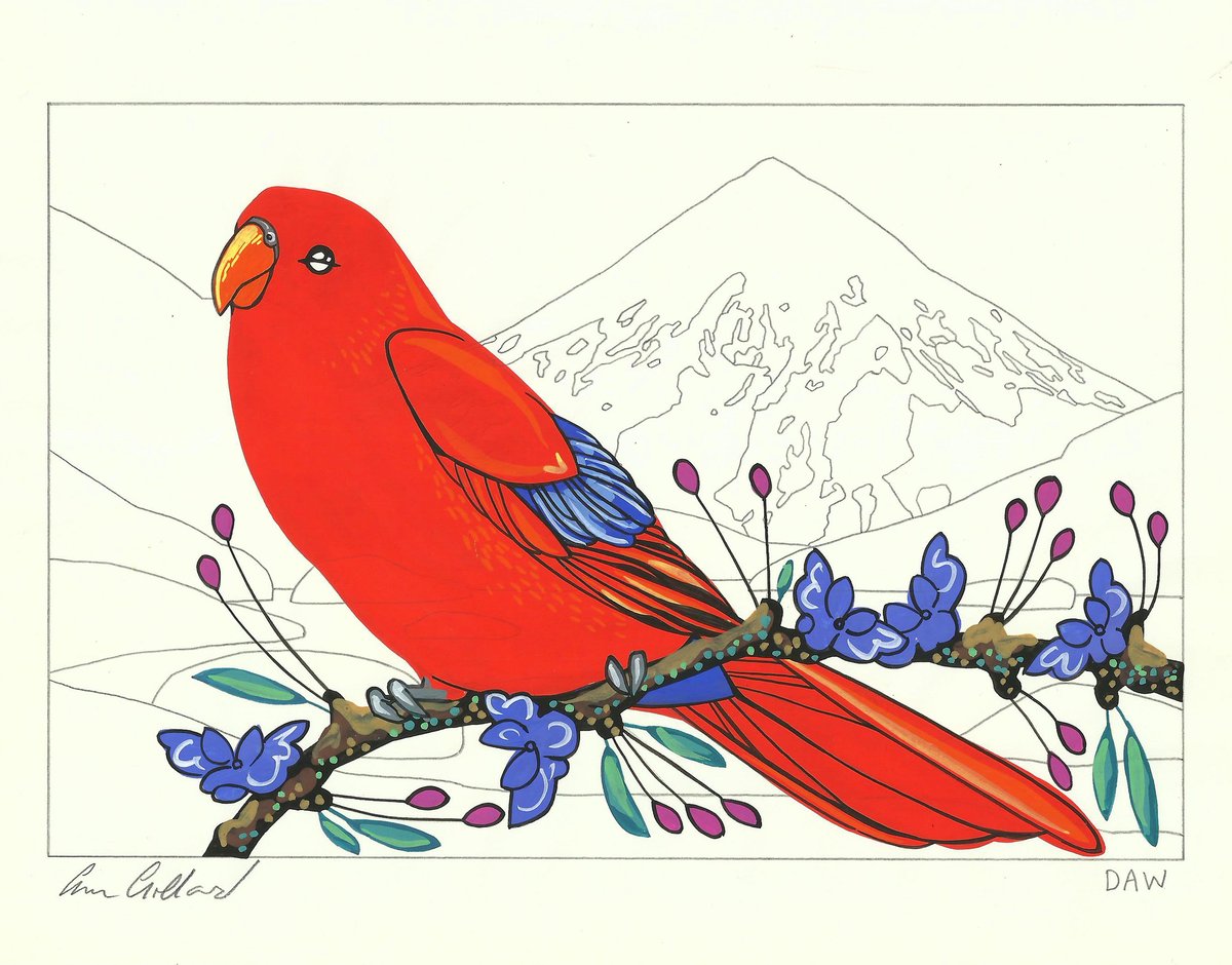 Image of Red Lory and Olympia
