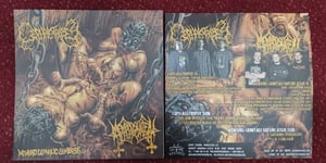 Image of CEPHALOTRIPSY / MEMBRO GENITALI BEFURCATOR Split EP test-press