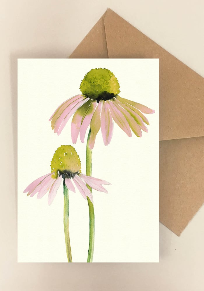 Image of 5 Notecards Echinacea No.1020