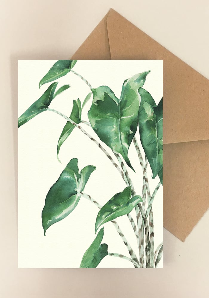 Image of Mix of 5 Plant Cards