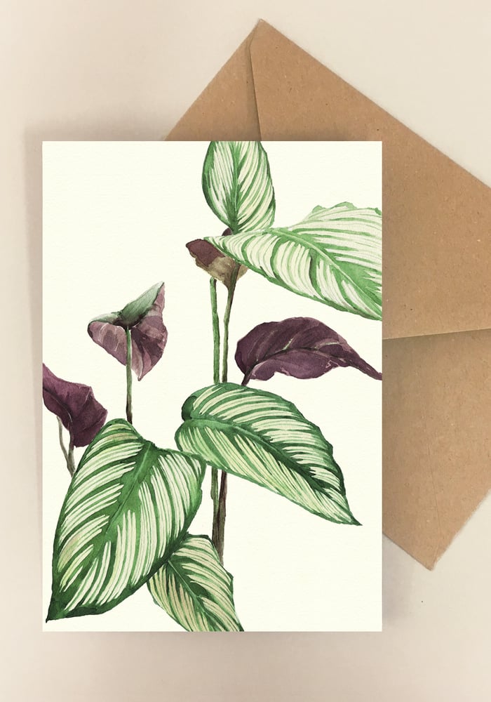 Image of Mix of 5 Plant Cards