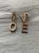 Image of Love Earrings 