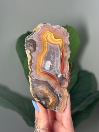 Image 1 of XL RAINBOW OMBRE LAGUNA AGATE