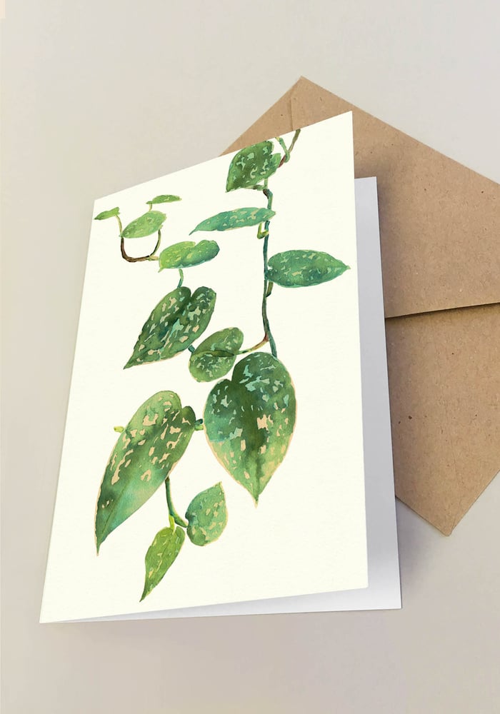 Image of 5 Notecards - Folded - Pothos Satin No.1015