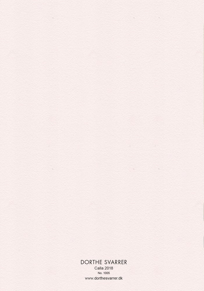 Image of 5 Notecards folded Calla No.1005