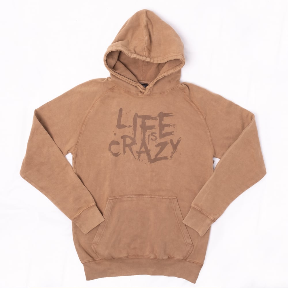 Image of LIC "Terra" Vintage Hoodie