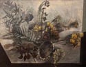 Modern British artist ‘Still life of Dried Sunflowers’  