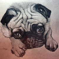 Image 5 of Charcoal Pet Portrait
