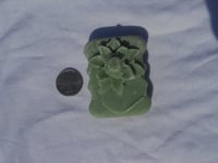 Image 2 of Mona Cucumber Soap
