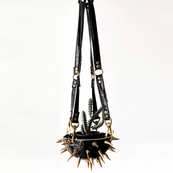 Image of BDSM Hanging Planter with 22kt Gold