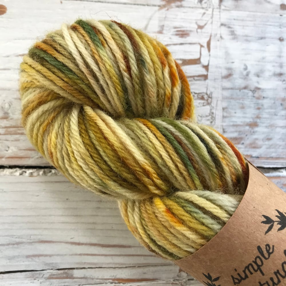 Image of ‘Accents’ Plant Dyed 50s