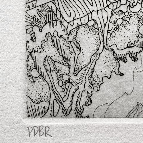 Image of The War of the Words / Paul Du Bois-Reymond