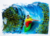 THE CRYPTO SURFER PRINT 