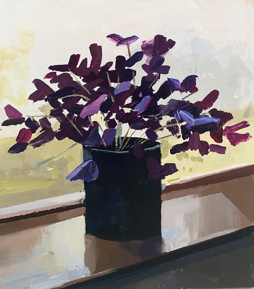 Image of Oxalis on Window Sill