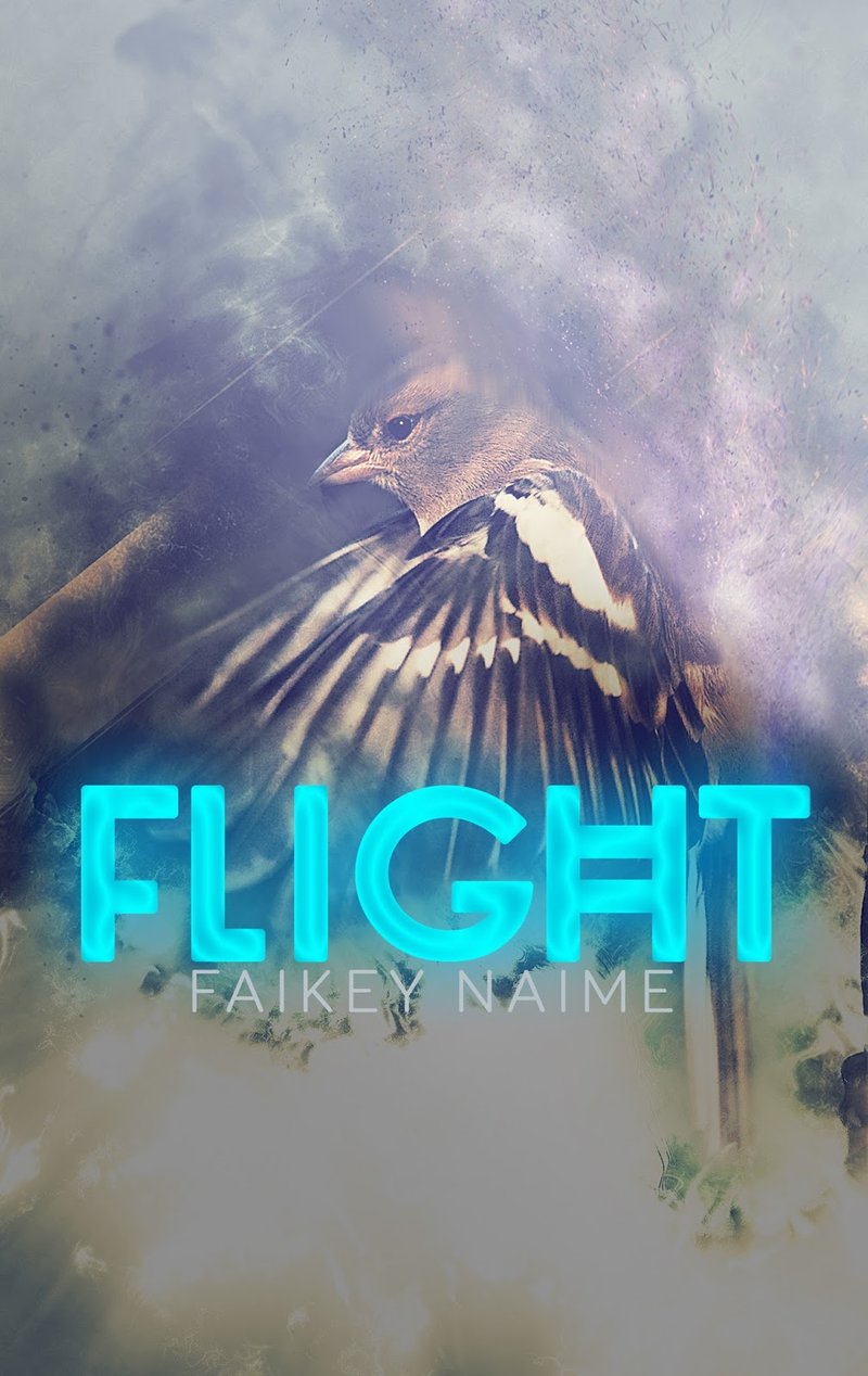 Image of "Flight" Pre-Made eBook Cover Design
