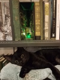 Image 5 of Fantasy street book nook diorama