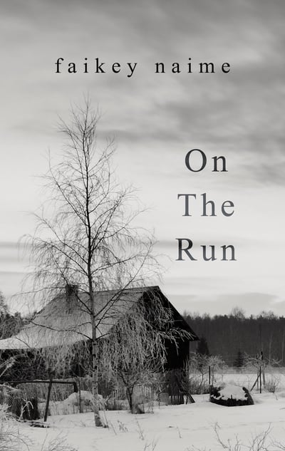 Image of "On The Run"