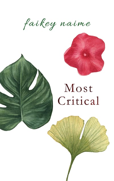 Image of "Most Critical"