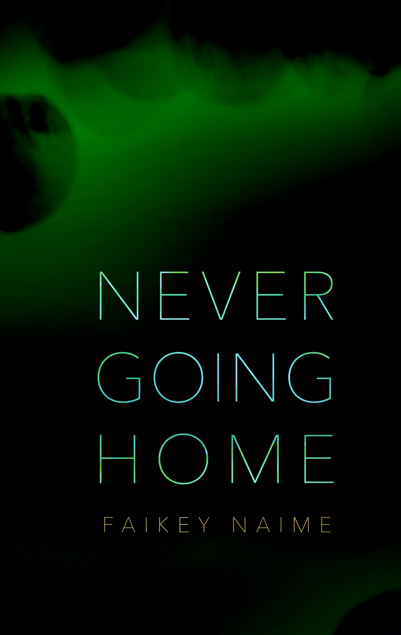 Image of "Never Going Home"