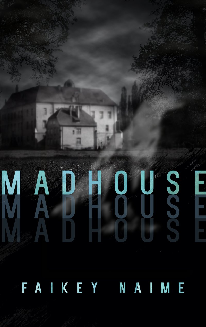 Image of "Madhouse"