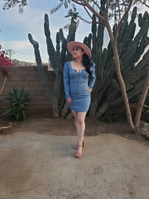 Image of Janeth Denim Dress 